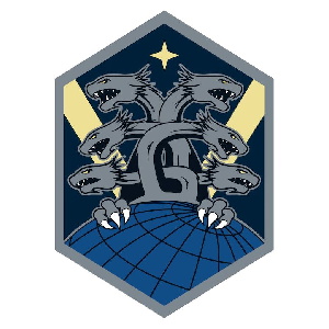 21st Space Wing