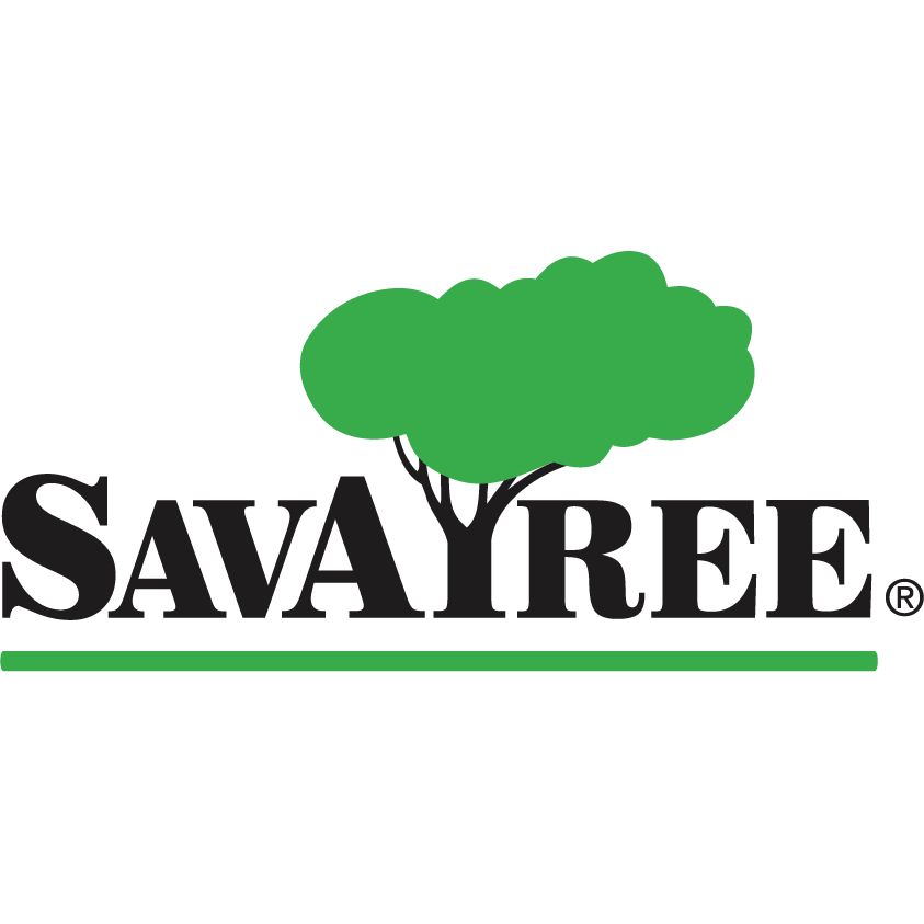 SavATree Certified Arborists